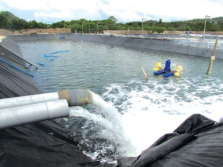  Sự cần thiết của việc xử lý nước ao nuôi thủy sản ngày nay